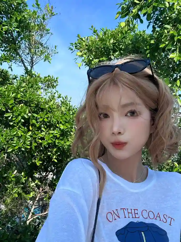 音乐版权数据图表