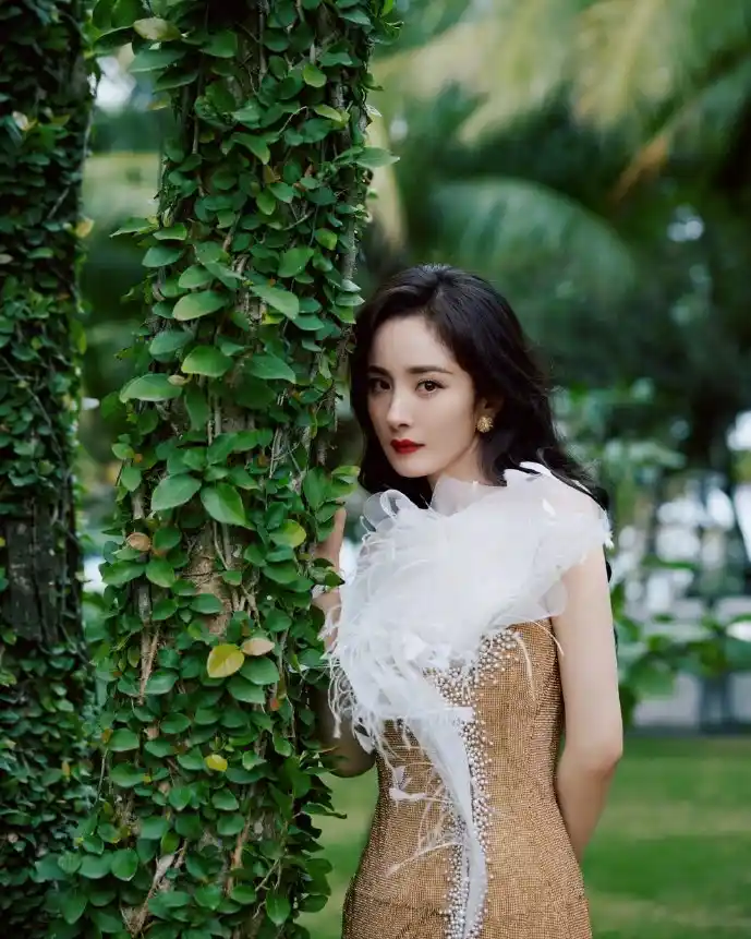 豹子王用户增长曲线